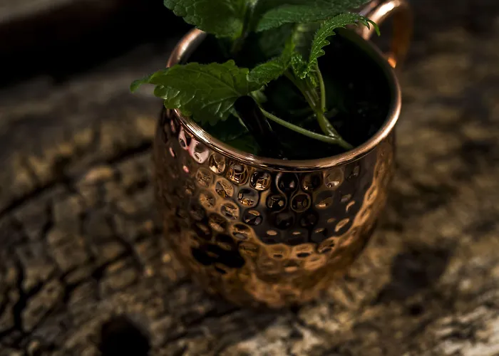 Hotel Chesa Stuva Colani 4*