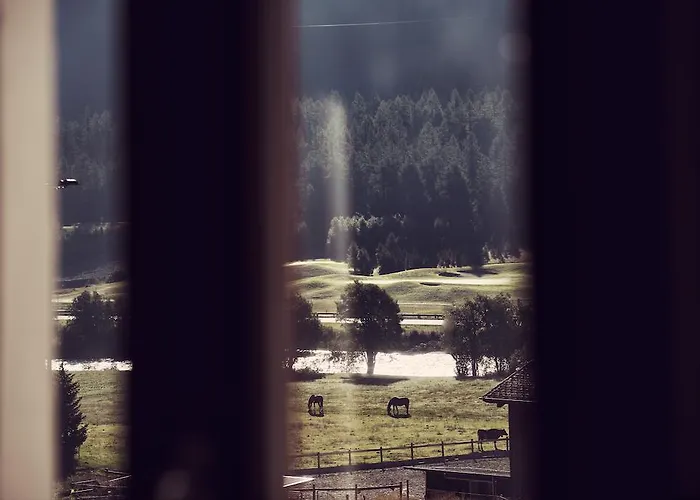 Hotel Chesa Stuva Colani 4*